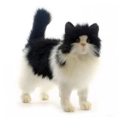 Lifelike Black And White Cat Stuffed Animal By Hansa