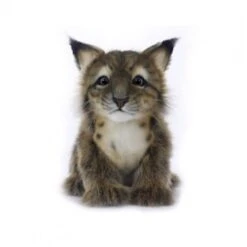 Handcrafted 6 Inch Lifelike Lynx Cub Stuffed Animal By Hansa